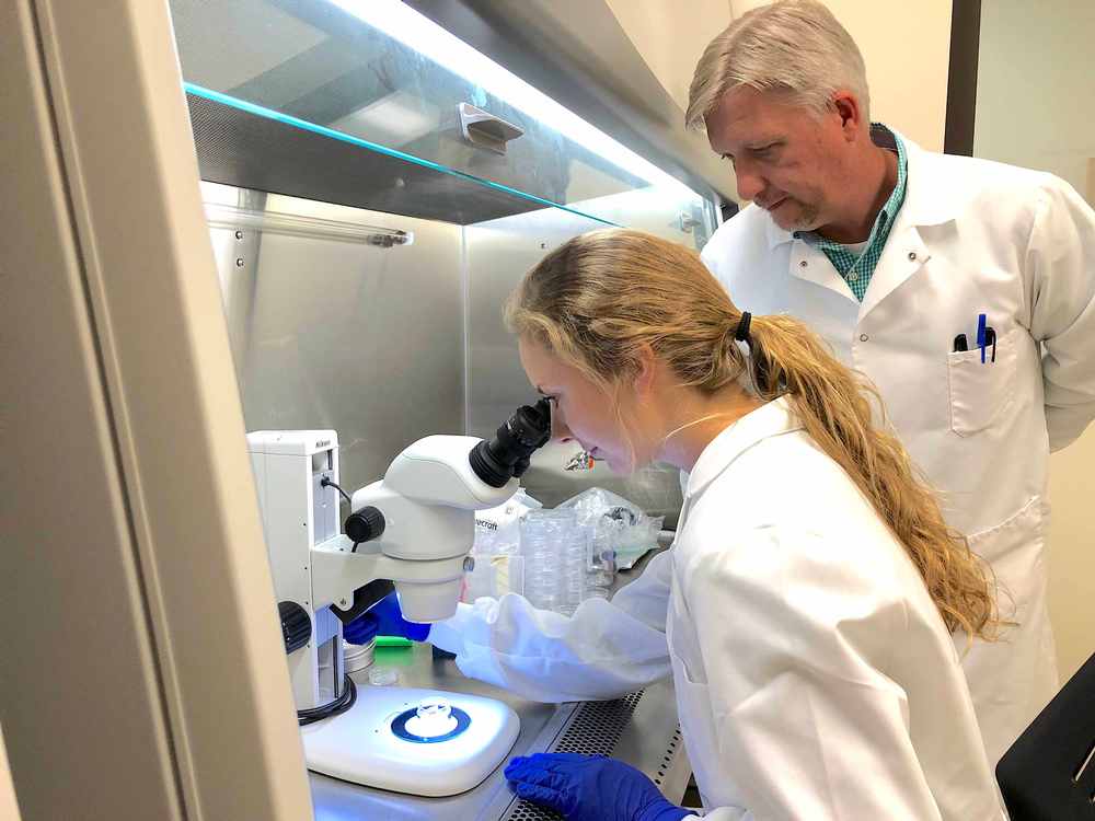 Origins of ancient Eurasian Nomadic Warriors